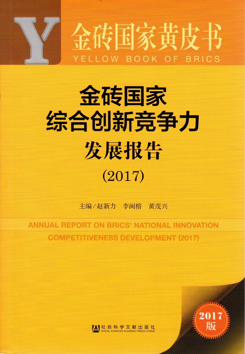 www.随便操金砖国家综合创新竞争力发展报告（2017）